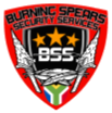 BSS Logo