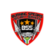 BSS Logo